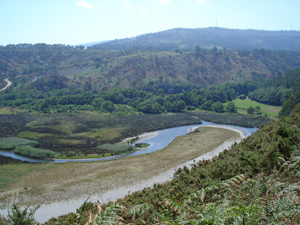 Reserva de Barayo