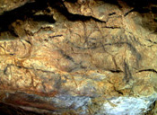 Cueva el Buxu