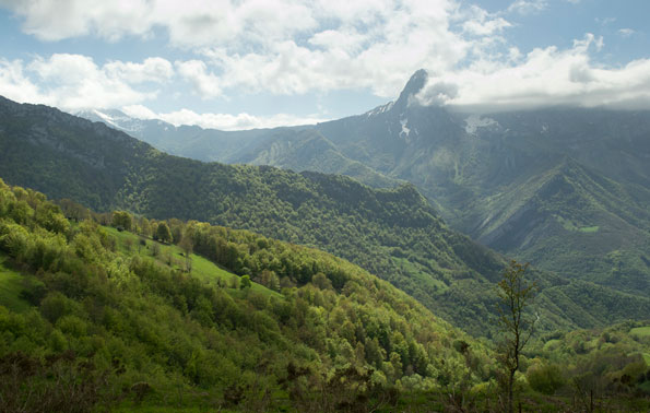 Panoramica del Parque natural de Ponga