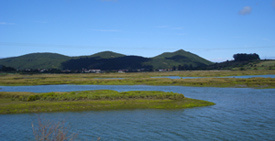 Reserva Natural de las Marismas de Noja y Santoña