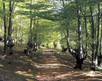 Parque Natural de Aizkorri